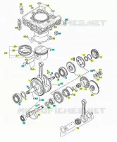 Drive shaft - Cylinder