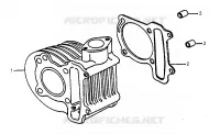 Cylinder