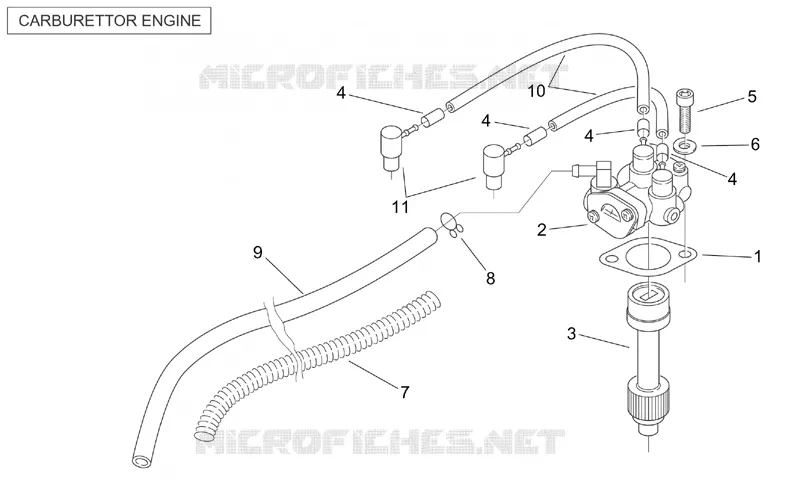Oil pump (Carurettor)