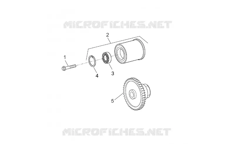 Toothed pulley
