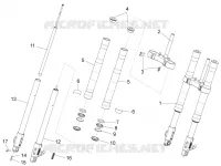 Front fork Paioli