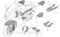Acc. - Special body parts