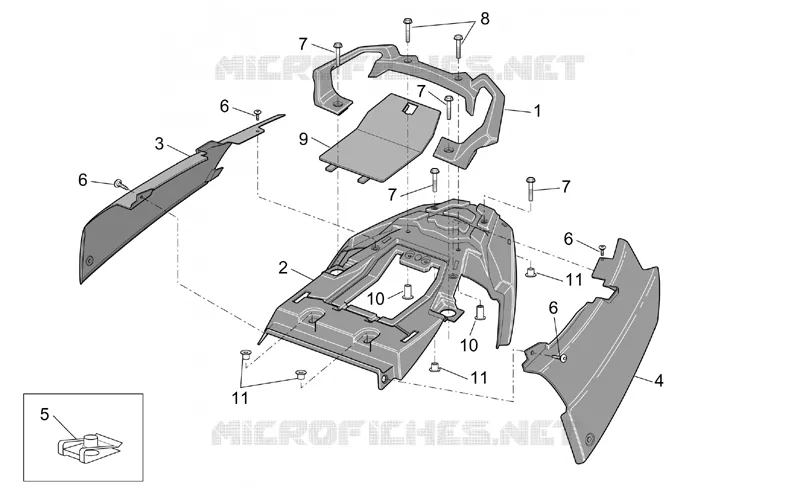 Rear body