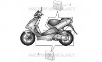 Central and rear body decal