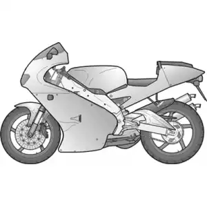 RS 250